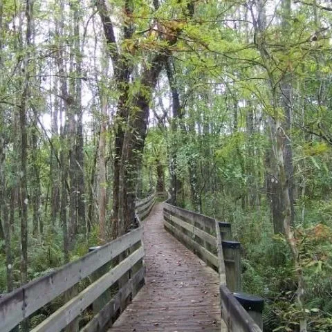 thumbnail for publication: Aquatic and Marine Ecosystems—Lesson 1: Aquatic and Marine Ecosystem Connections